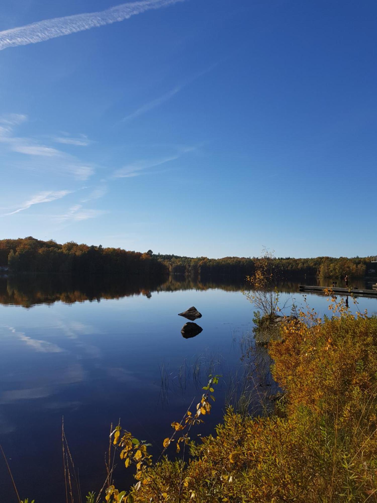 Halens Camping Och Stugby Olofström Esterno foto
